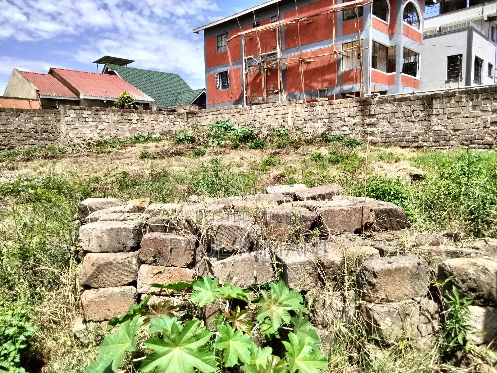 Prime Plots at Juja in Kalimoni