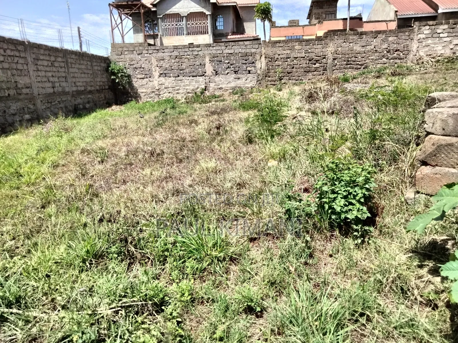 Prime Plots at Juja in Kalimoni