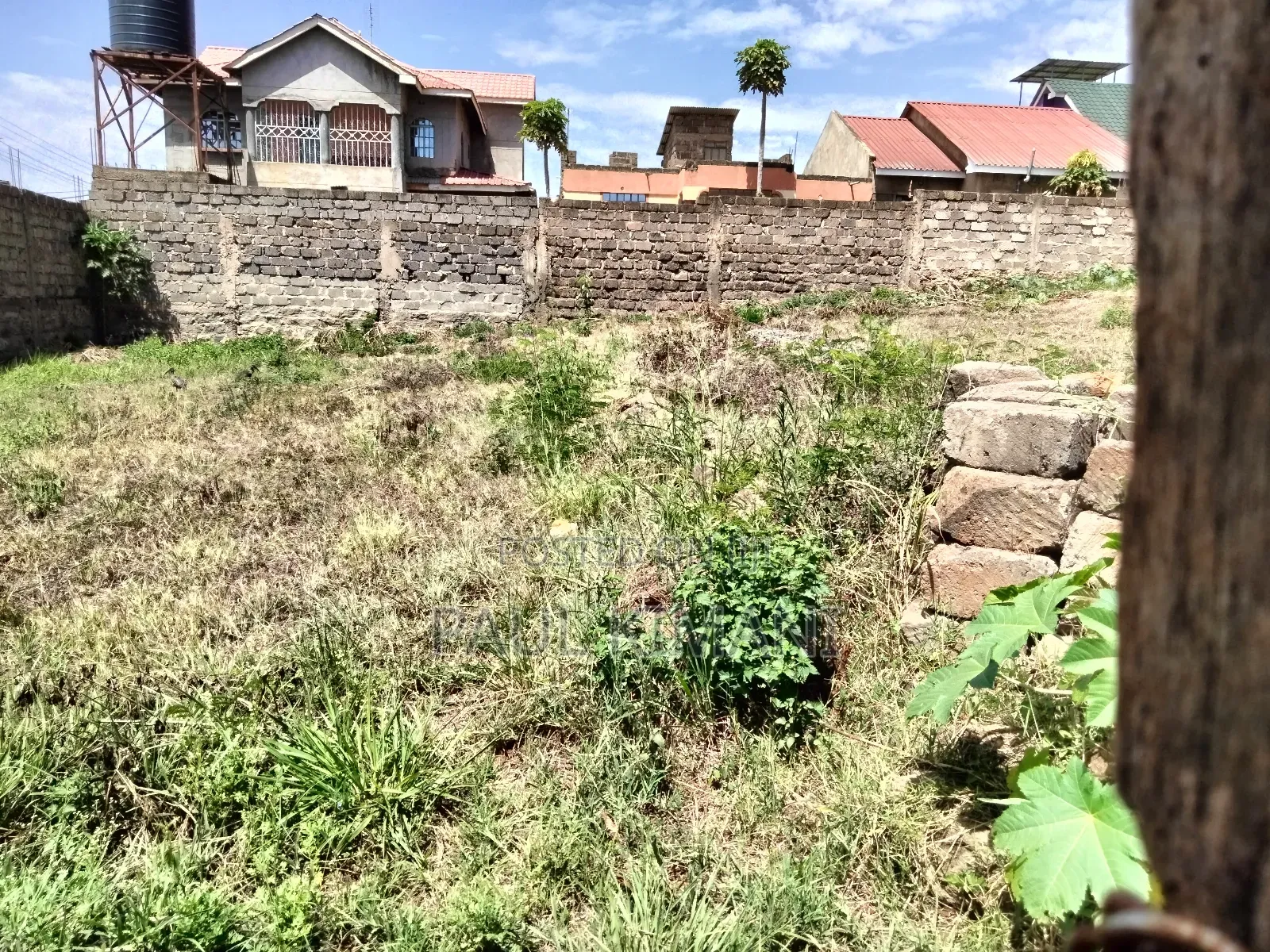 Prime Plots at Juja in Kalimoni