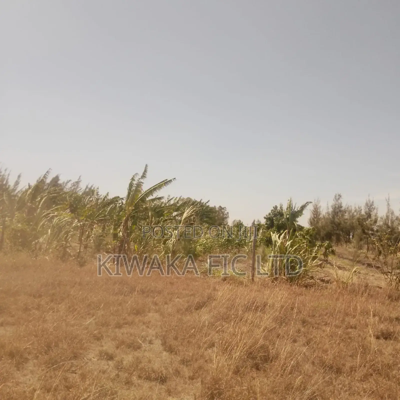1.25 Acre Near Komarock Shrine for Sale in Mua