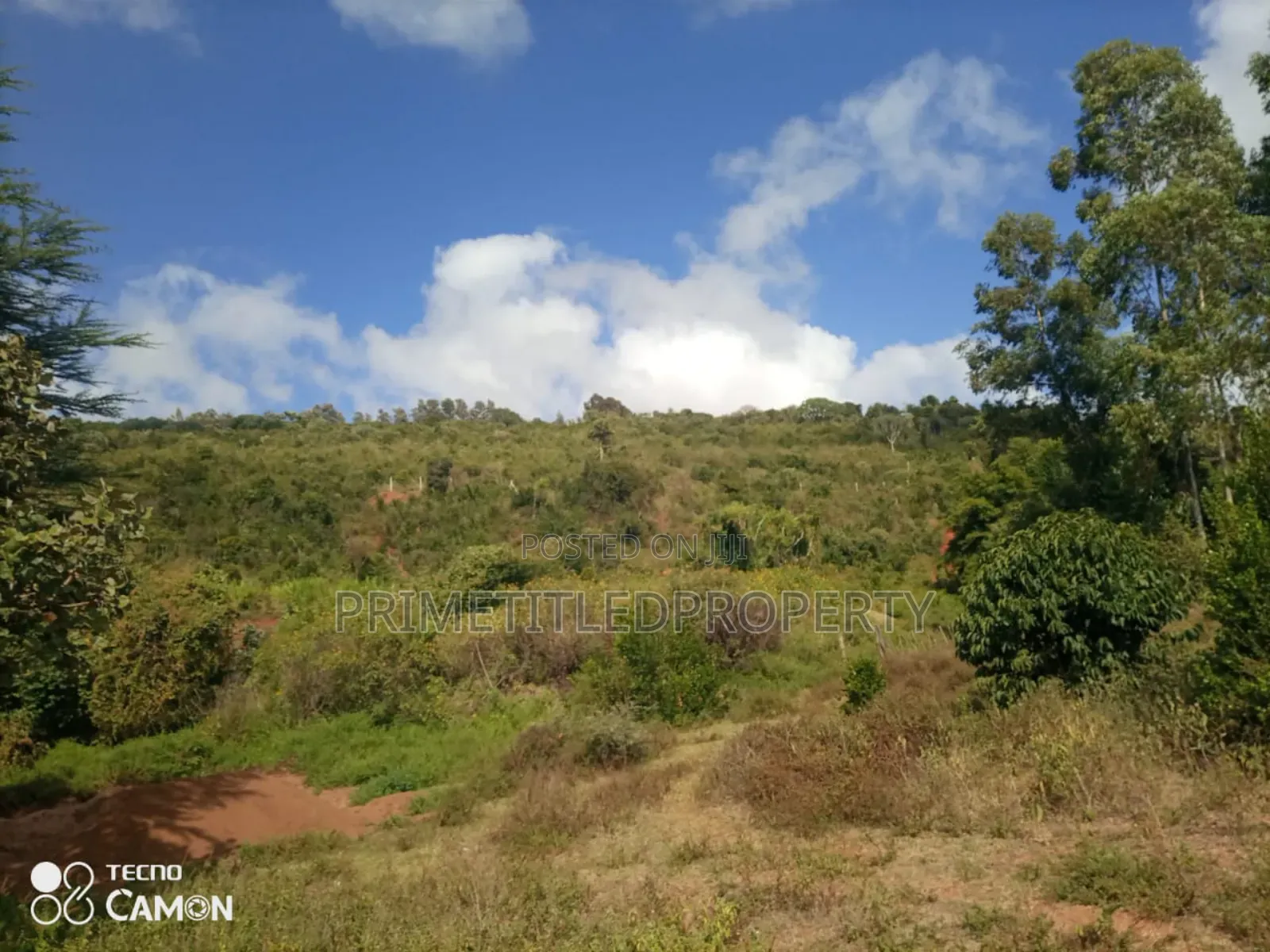 15 Acres Along Mua Road in Mua