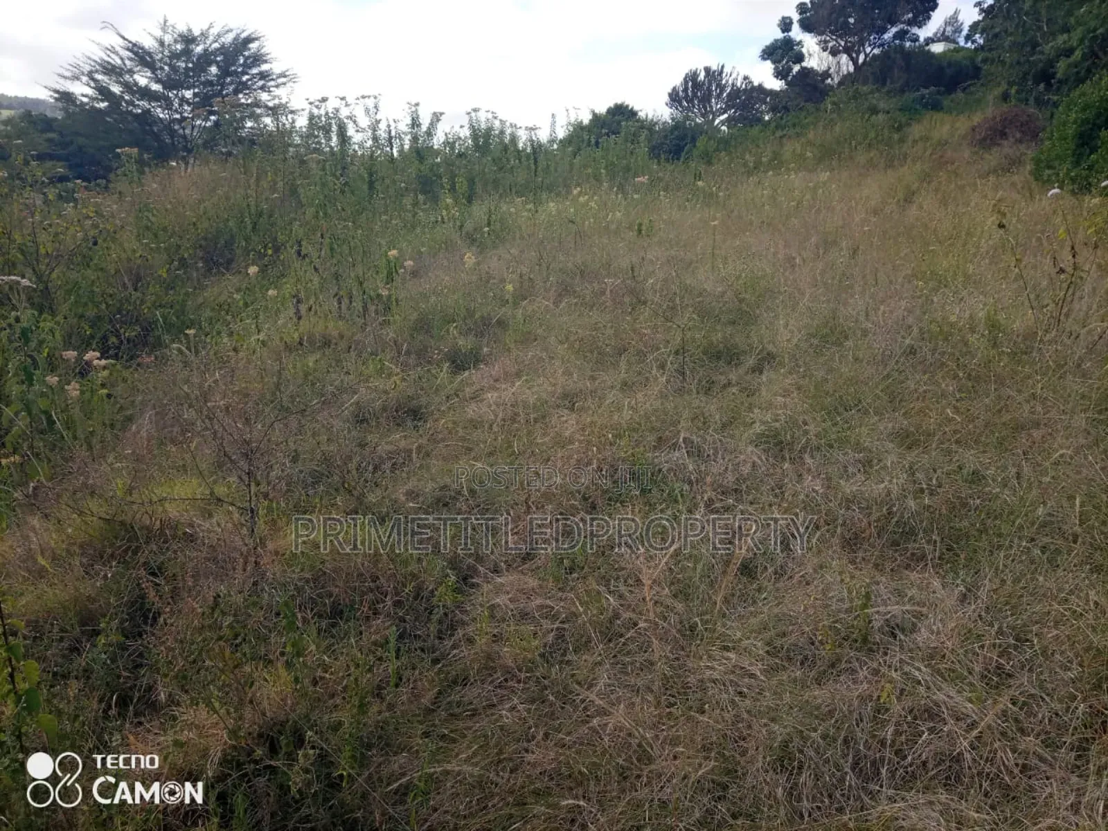 15 Acres Along Mua Road in Mua