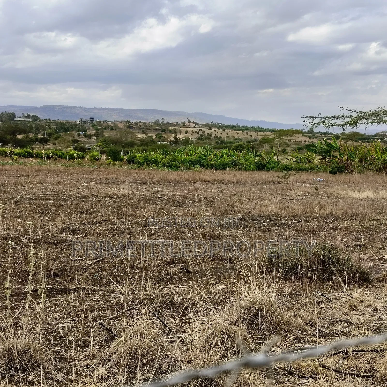 15 Acres Along Mua Road in Mua