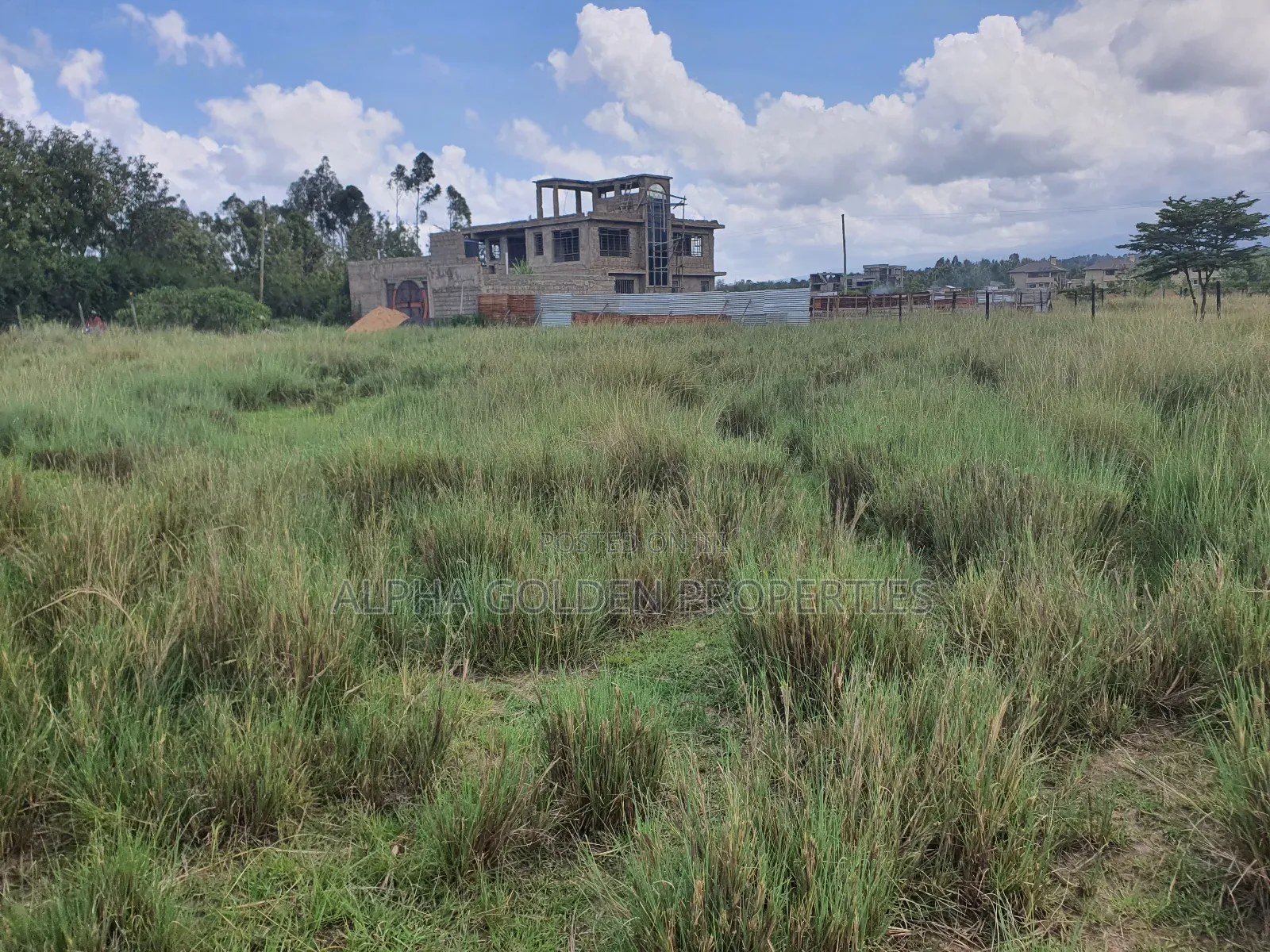 Nanyuki Airstrip Plots in Nanyuki