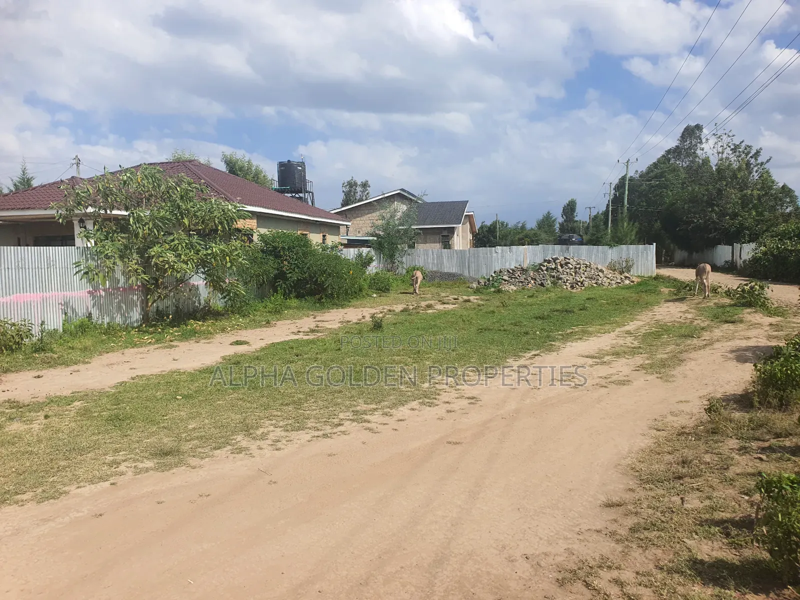 Nanyuki Commercial Plot in Nanyuki