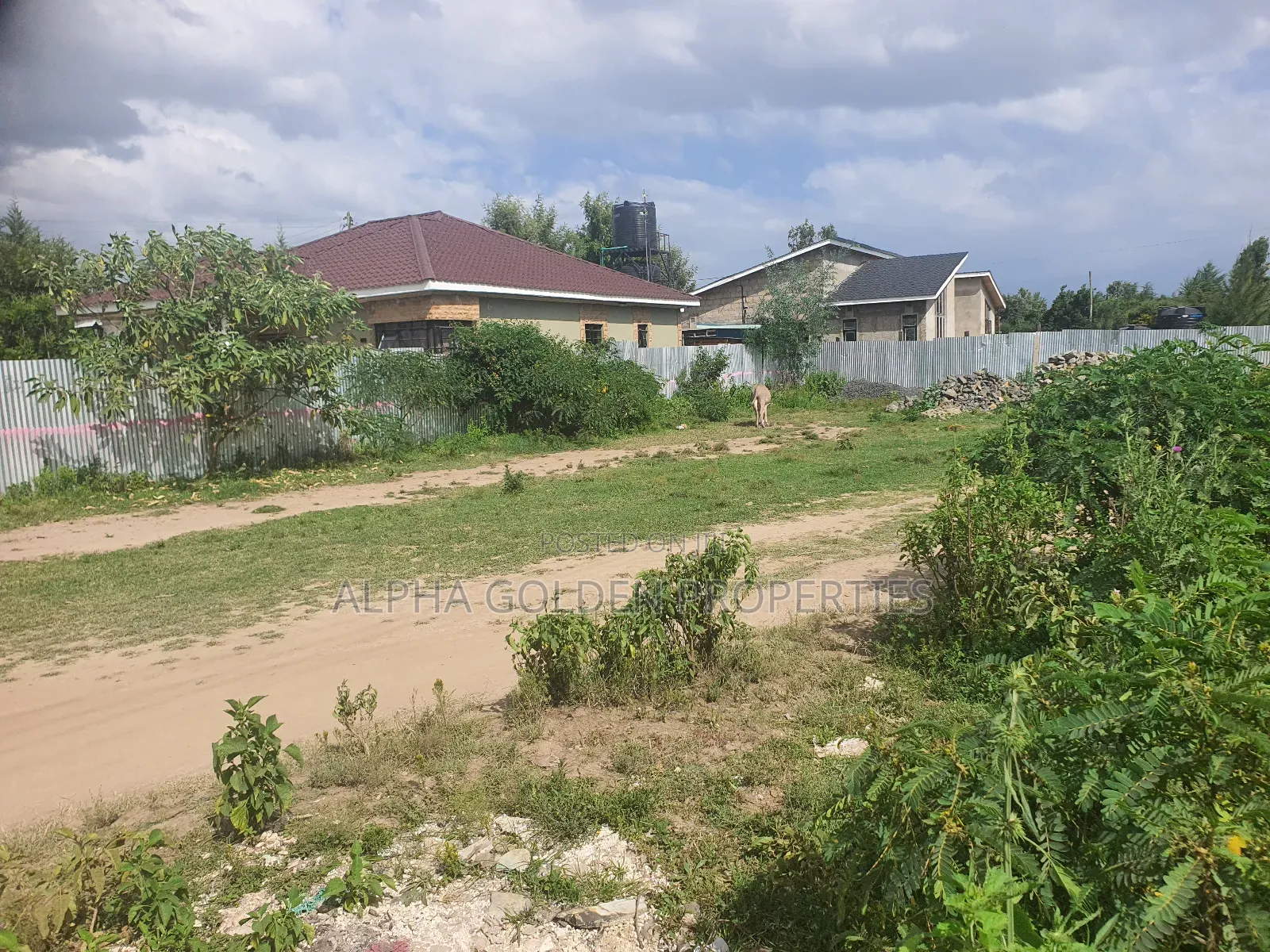Nanyuki Commercial Plot in Nanyuki