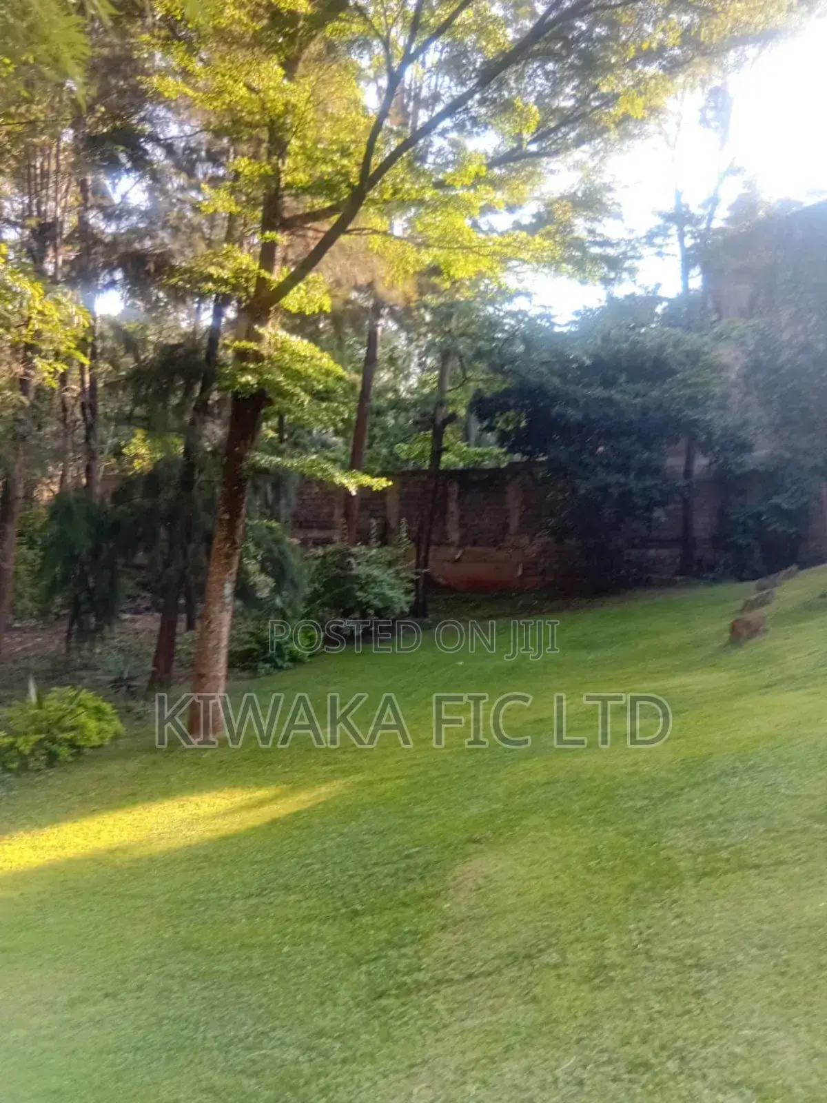 Half Acre Plot for Sale in Lavington in Lavington