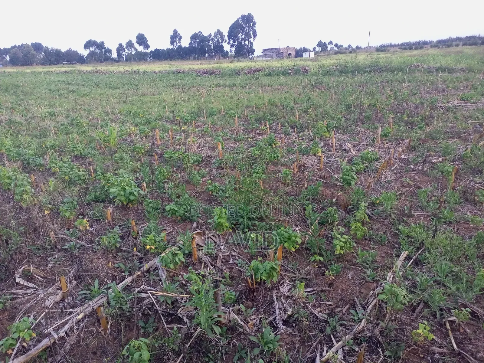 Land for Sale in Njoro Piave in Nakuru Town East