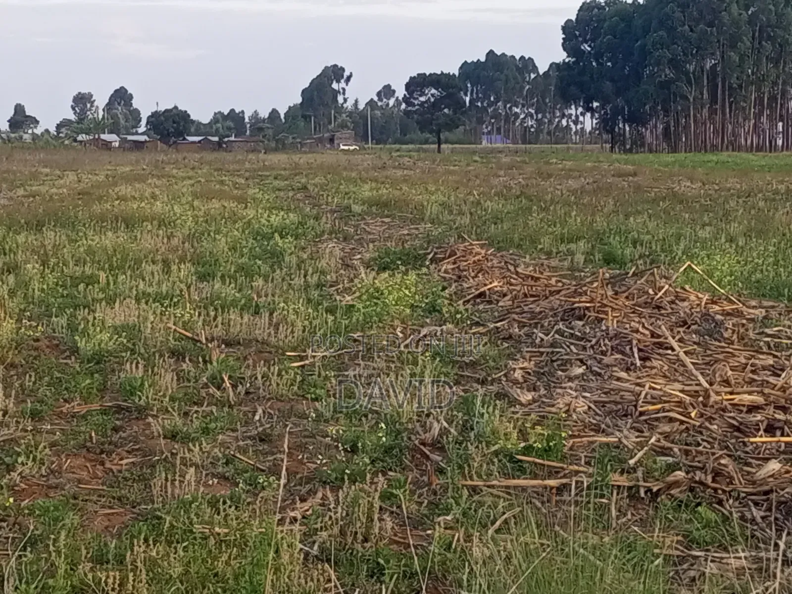 Land for Sale in Njoro Piave in Nakuru Town East