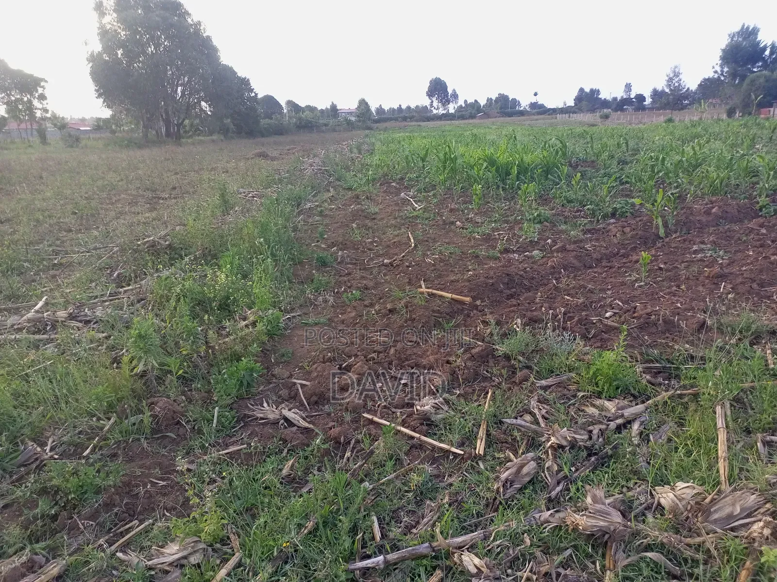Land for Sale in Njoro Piave in Nakuru Town East