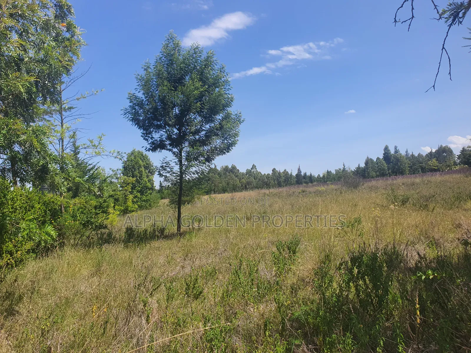 2 Acres in Nanyuki [ Kwahuku ] in Nanyuki