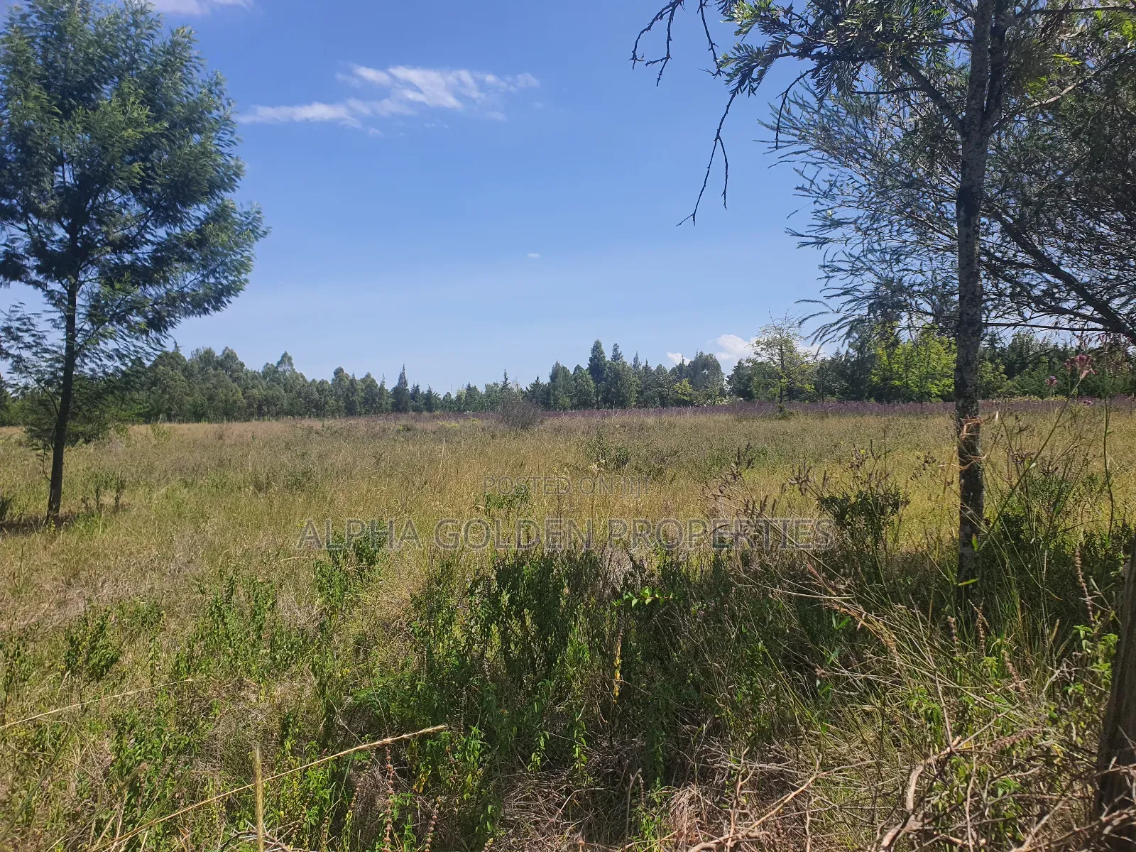 2 Acres in Nanyuki [ Kwahuku ] in Nanyuki