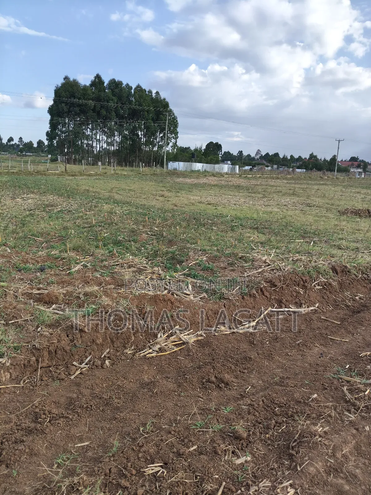 Eldoret Outspan Ancilla Estate in Kesses
