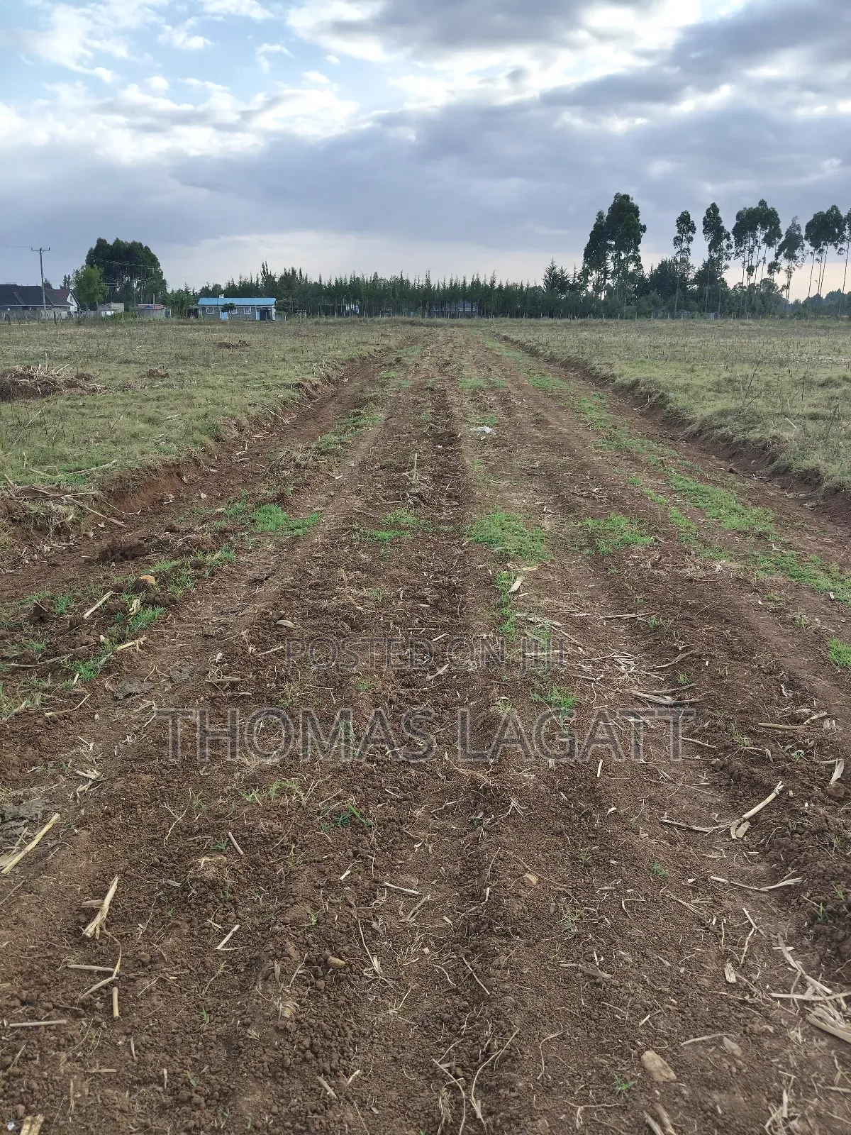 Eldoret Outspan Ancilla Estate in Kesses
