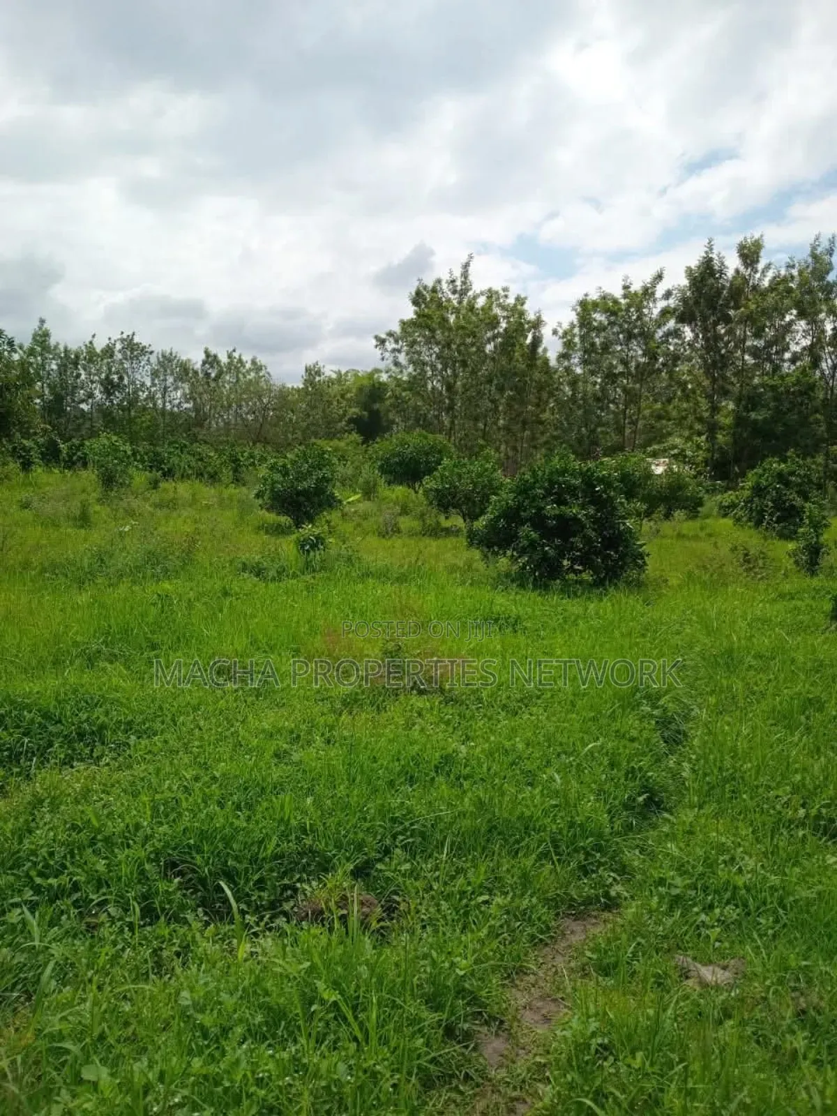 2.5 Acres for Kaumoni- Makueni County in Wote
