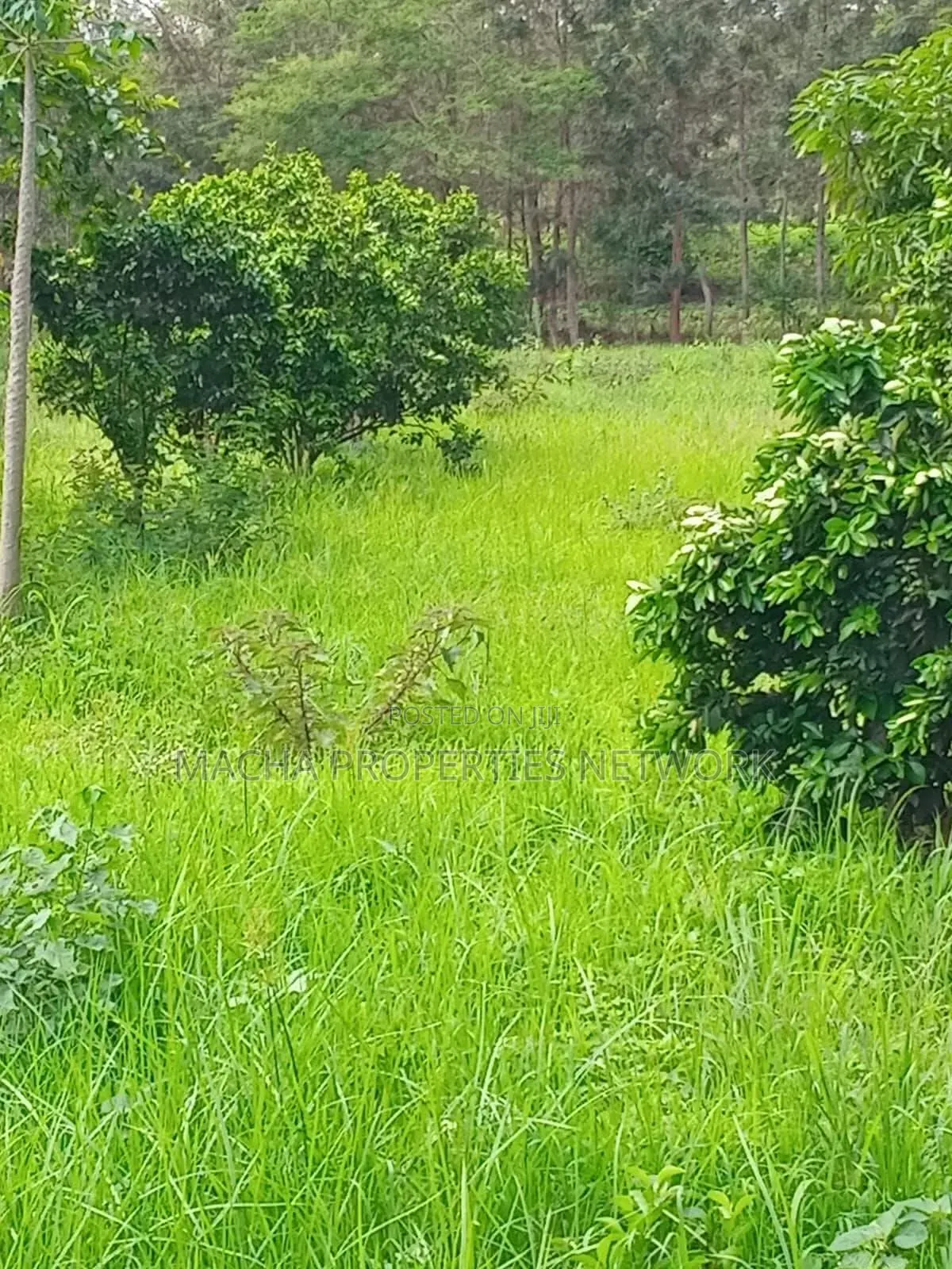 2.5 Acres for Kaumoni- Makueni County in Wote
