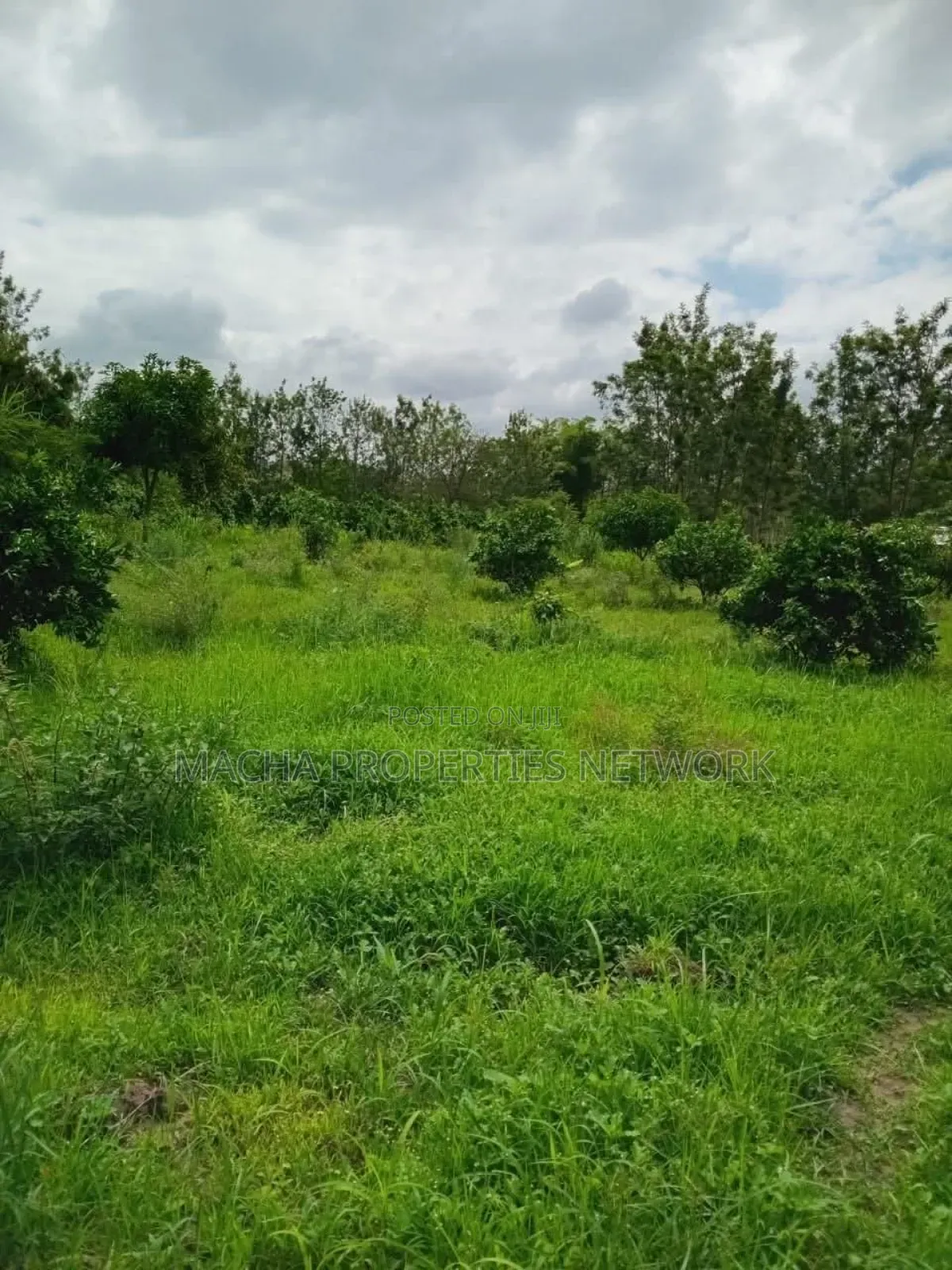 2.5 Acres for Kaumoni- Makueni County in Wote
