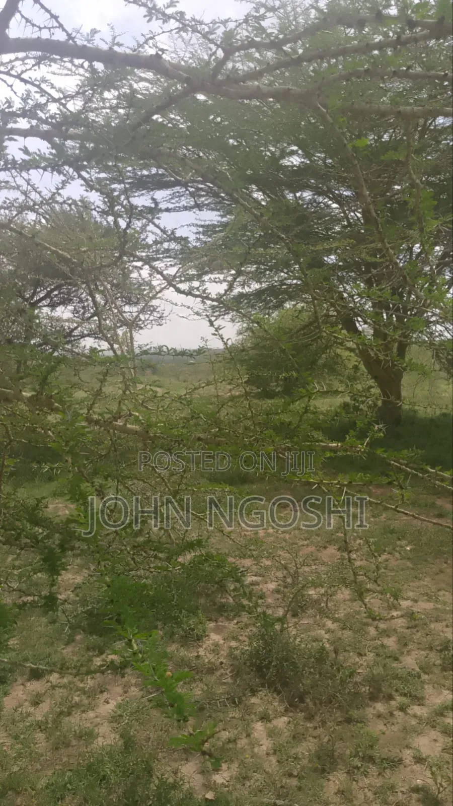 20 Acres Kitengela in Kitengela