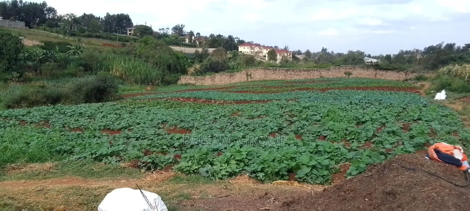 6 Acre Farm for Sale in Riabai
