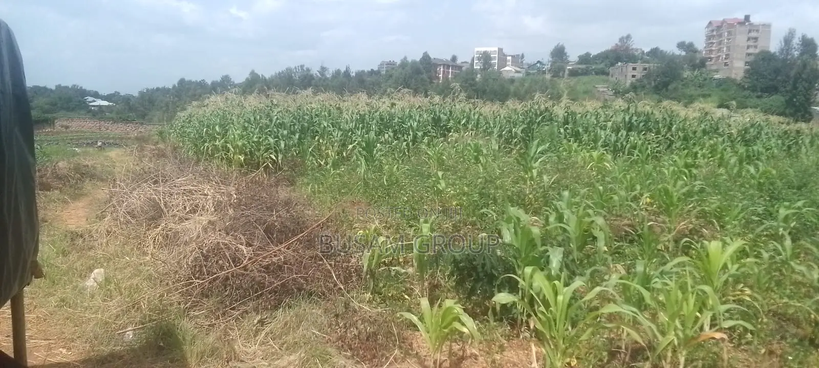 6 Acre Farm for Sale in Riabai