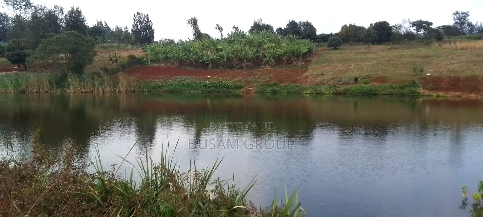 6 Acre Farm for Sale in Riabai