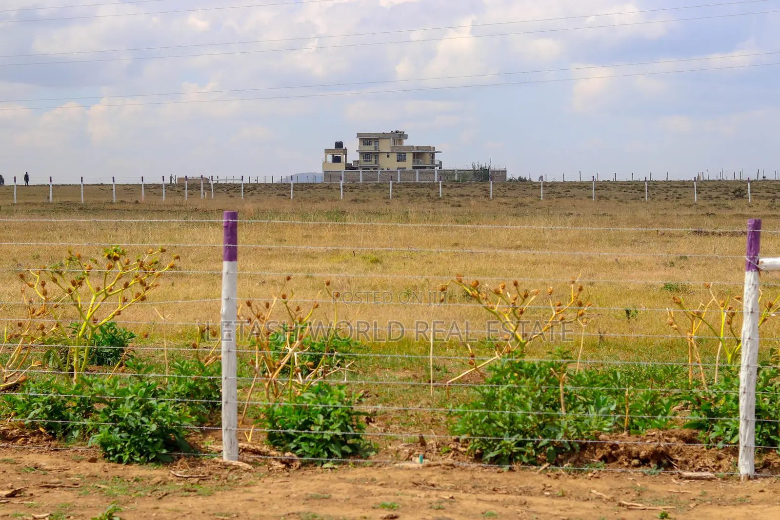 Plots in Naivasha, 50 by 100 Feet in Naivasha