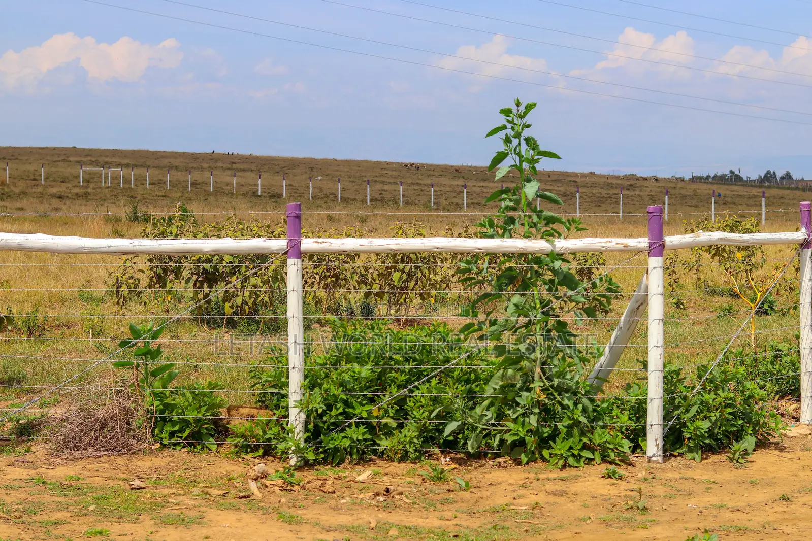 Plots in Naivasha, 50 by 100 Feet in Naivasha