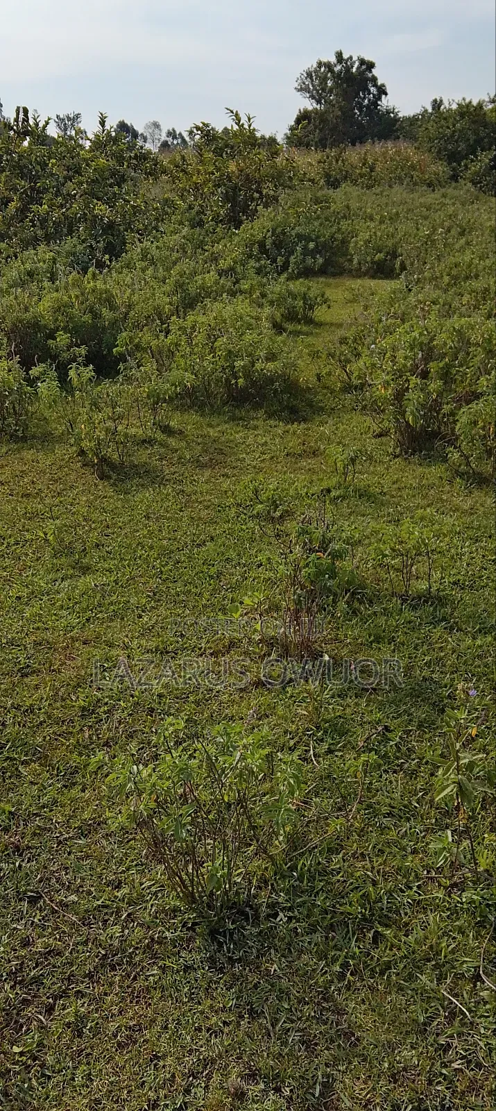 Land For Sale in Kanyamwa Kosewe