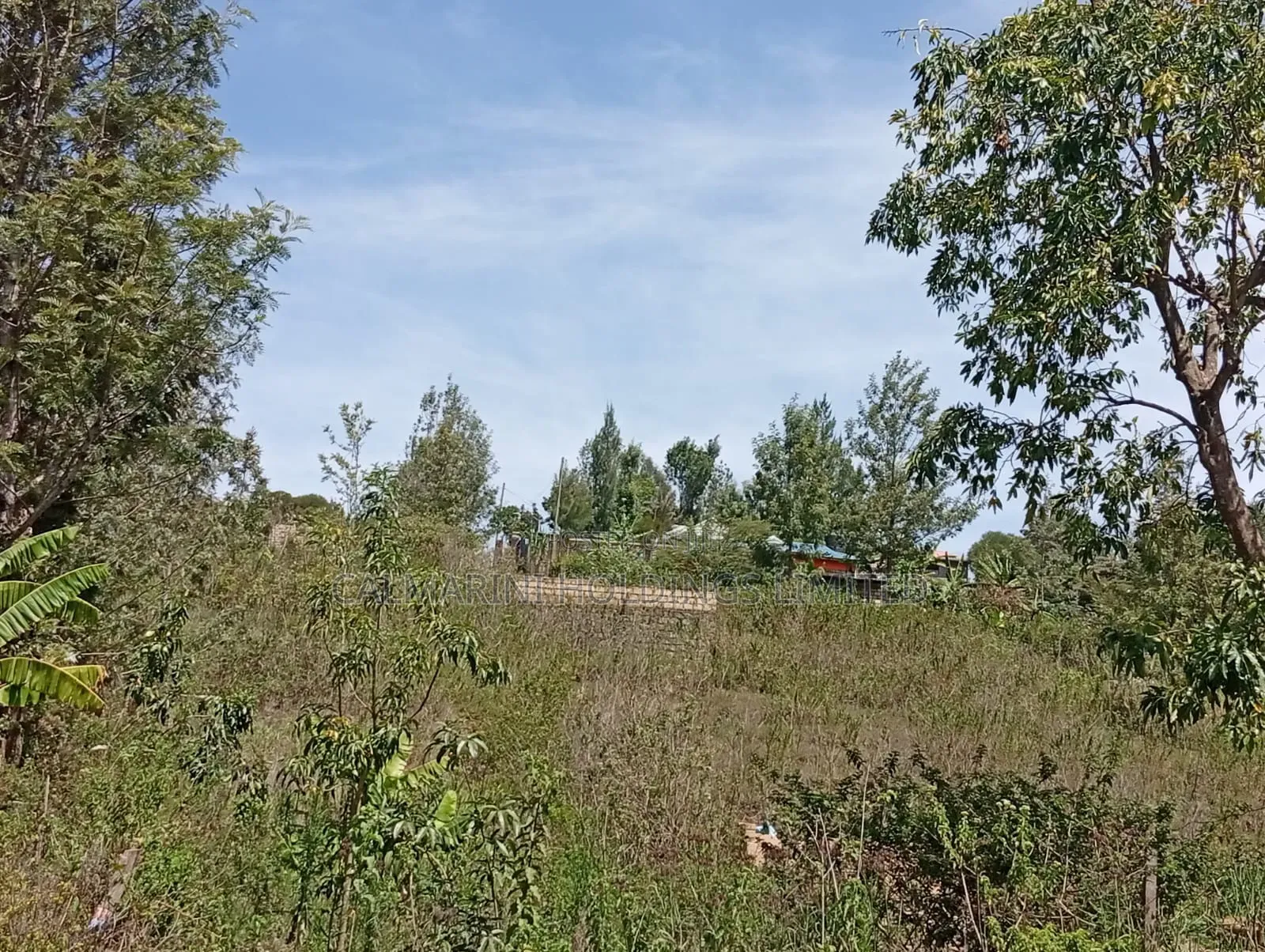 Distressed Deal! Full Quarter Acre in Matasia, Ngong at Kes 2.35m in Matasia