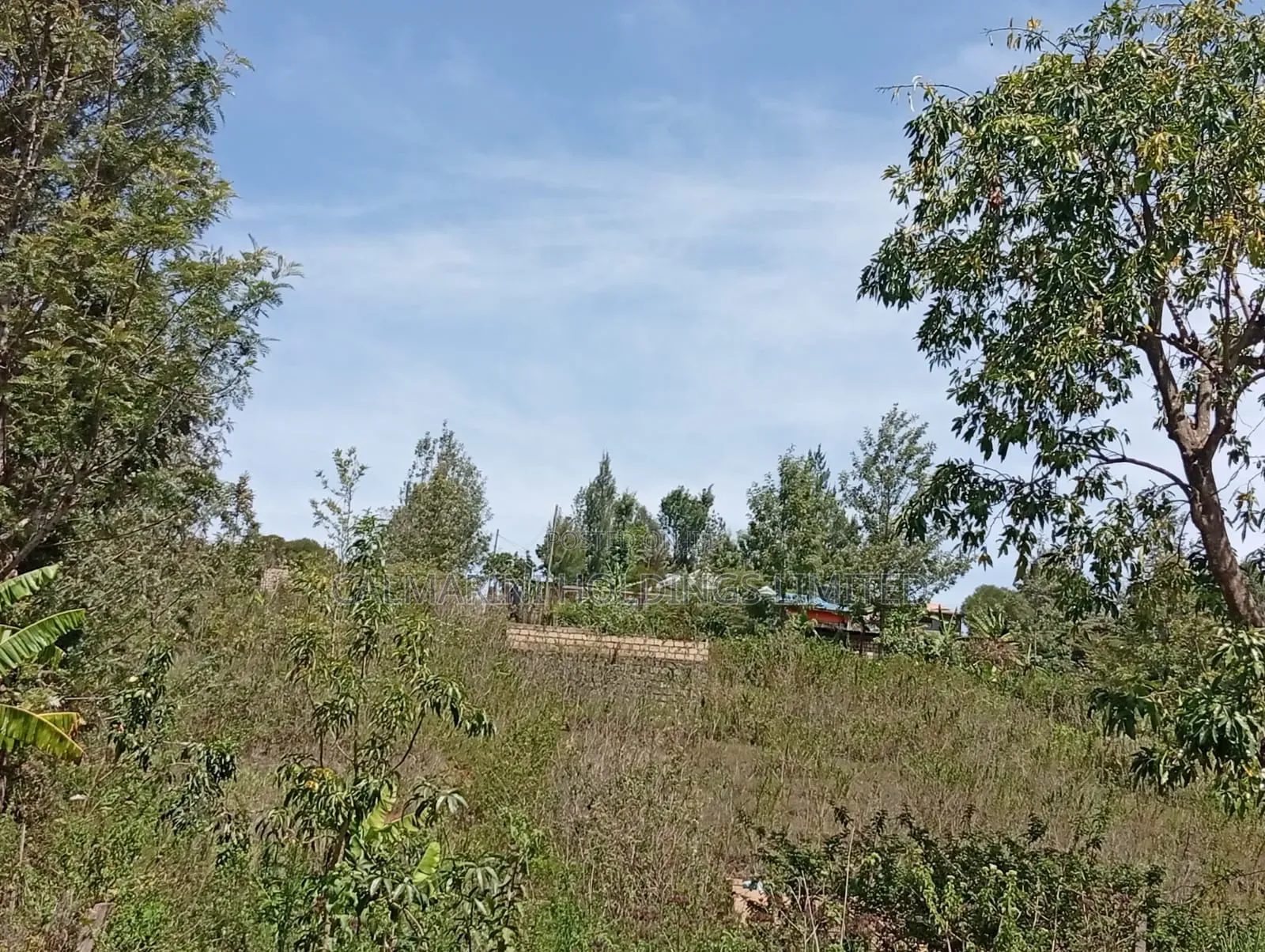 Distressed Deal! Full Quarter Acre in Matasia, Ngong at Kes 2.35m in Matasia