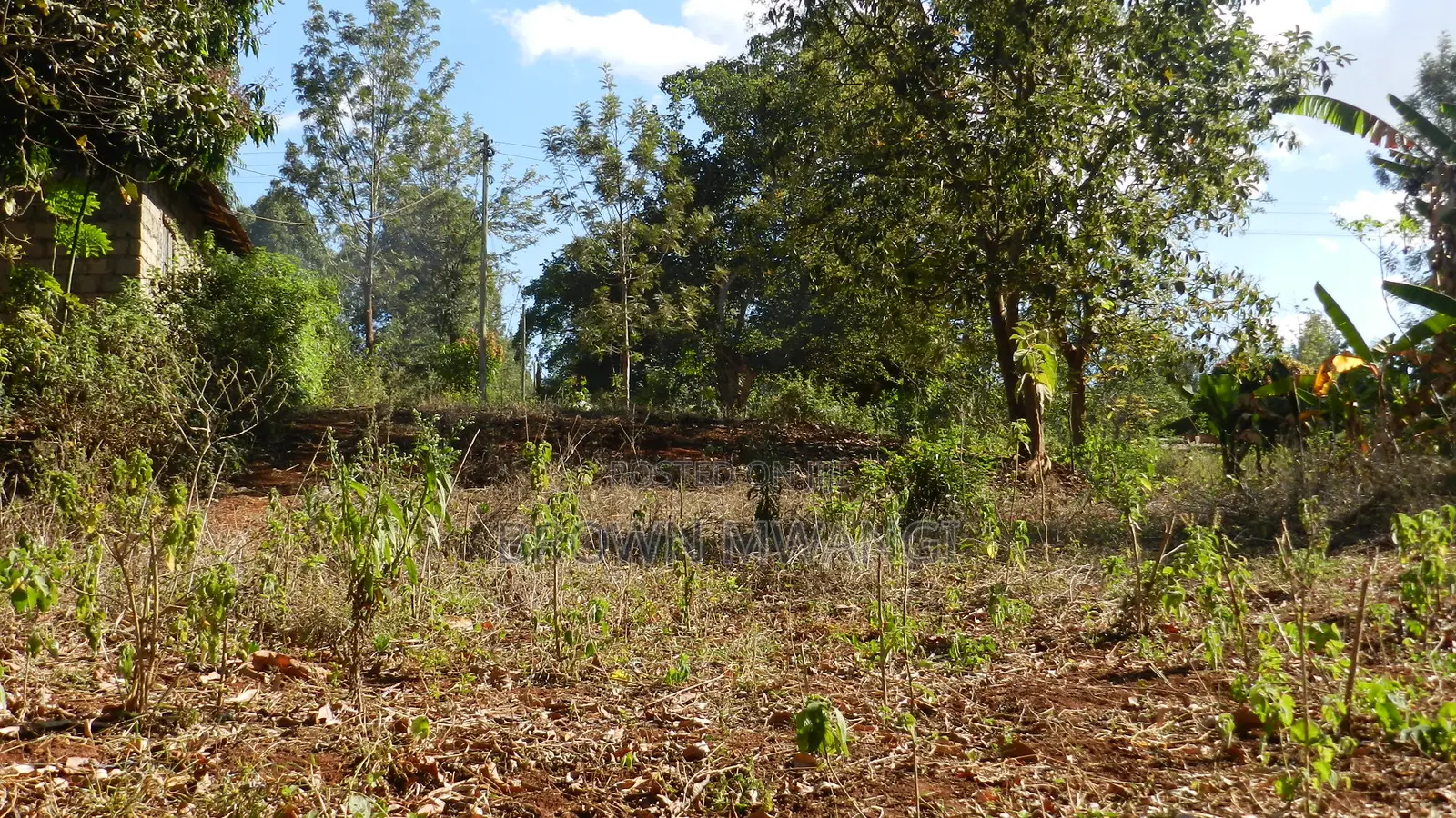 Quatre Acre Land for Sale in Kenol in Makuyu