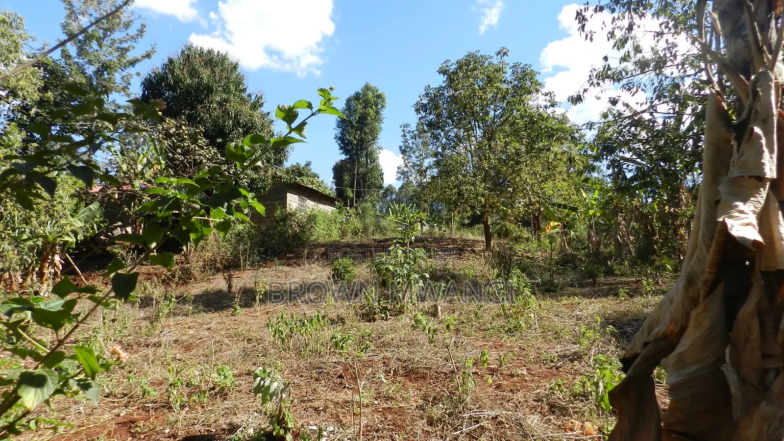 Quatre Acre Land for Sale in Kenol in Makuyu