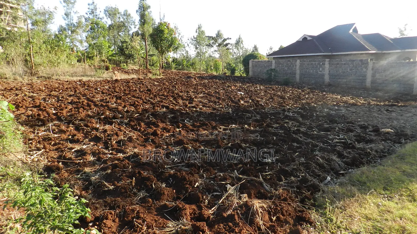 50x100 Plot of Land for Sale in Muranga County in Makuyu