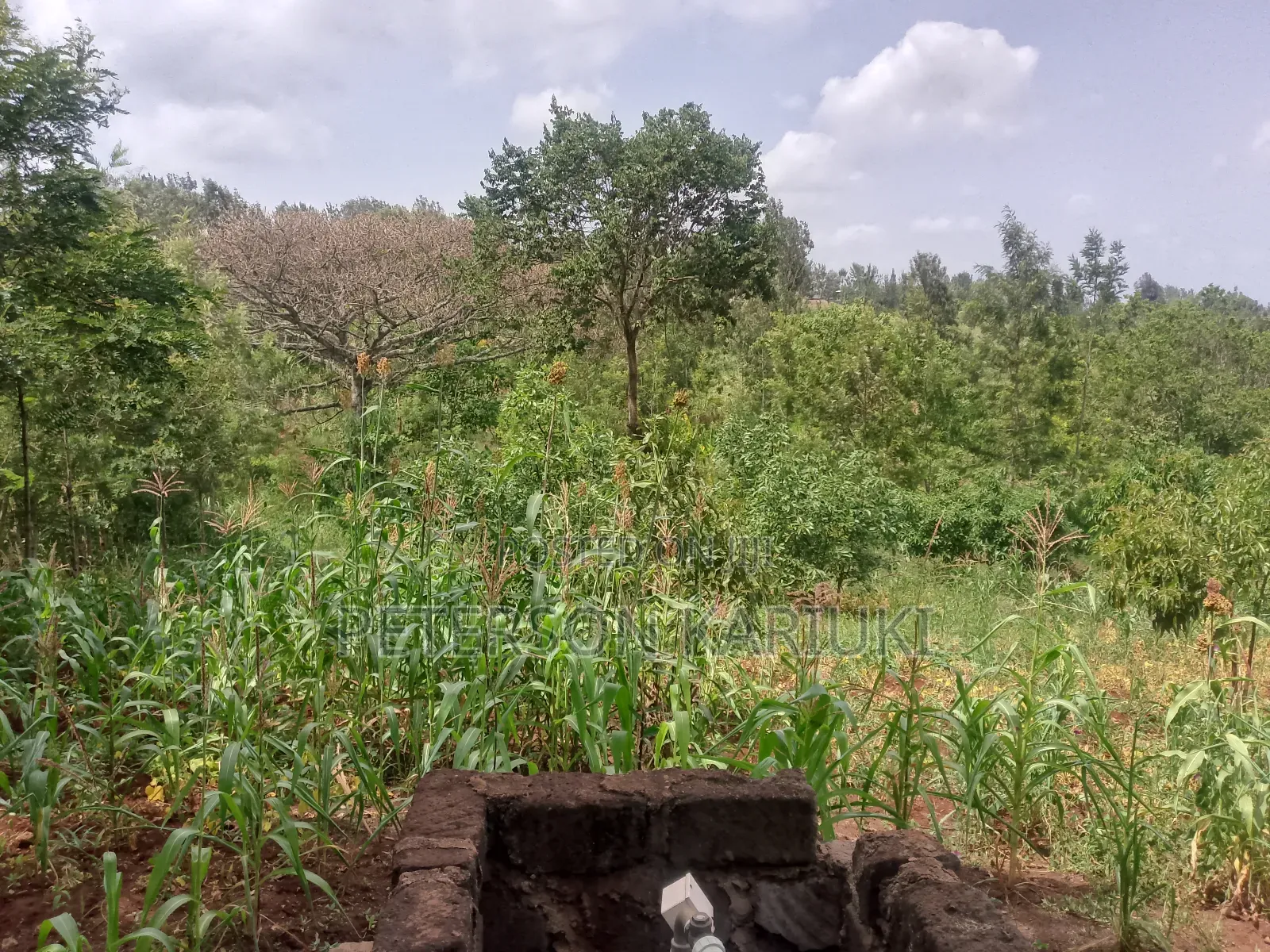 Land on Sale;Kimorori- Kenol in Kimorori/Wempa