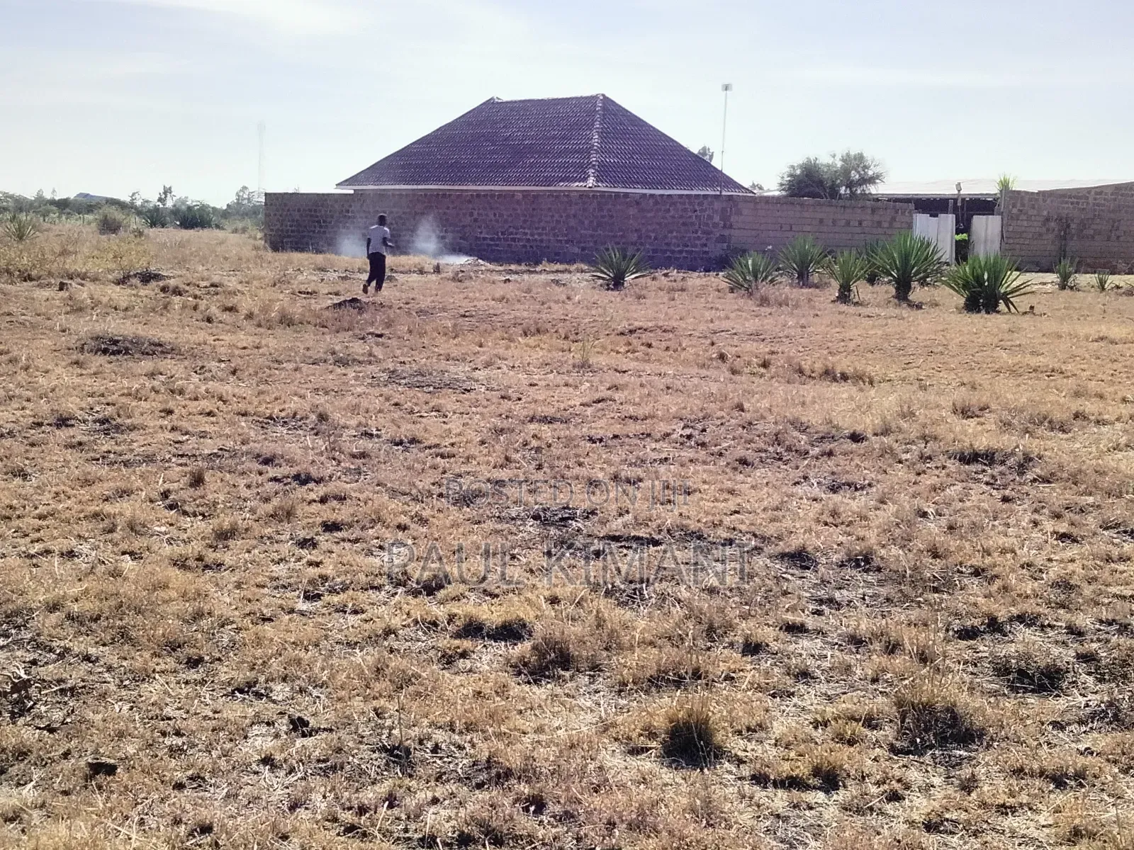 Juja Farm Mumba Plots for Sale in Kalimoni