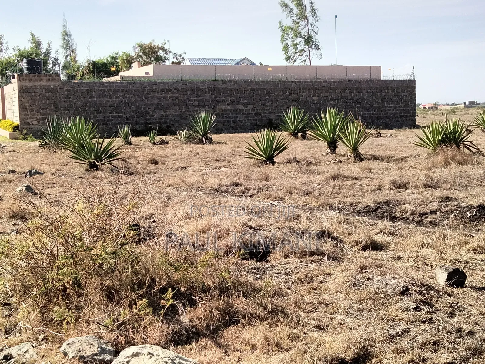 Juja Farm Mumba Plots for Sale in Kalimoni