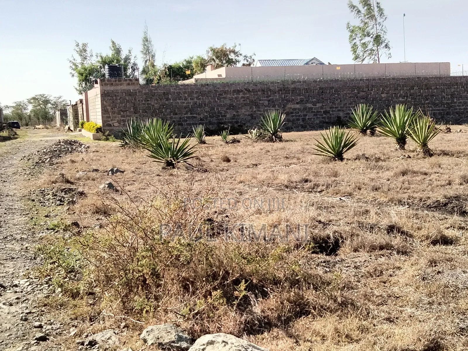 Juja Farm Mumba Plots for Sale in Kalimoni