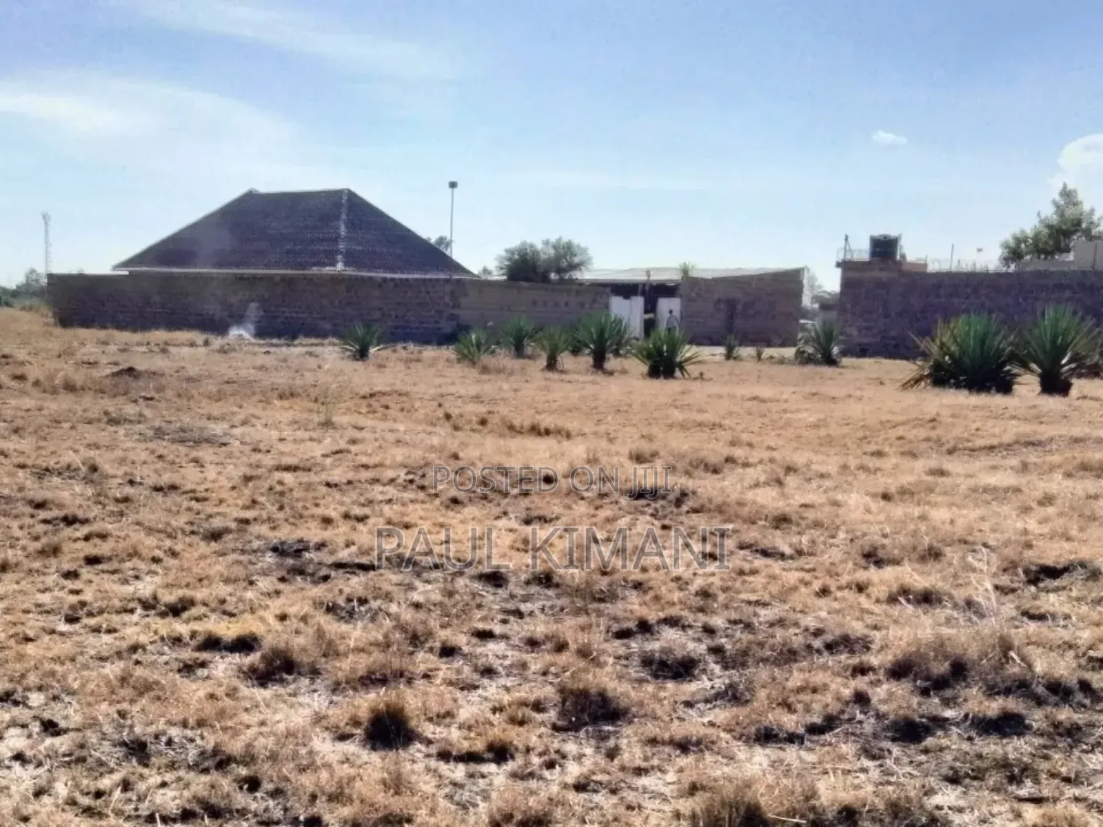 Juja Farm Mumba Plots for Sale in Kalimoni