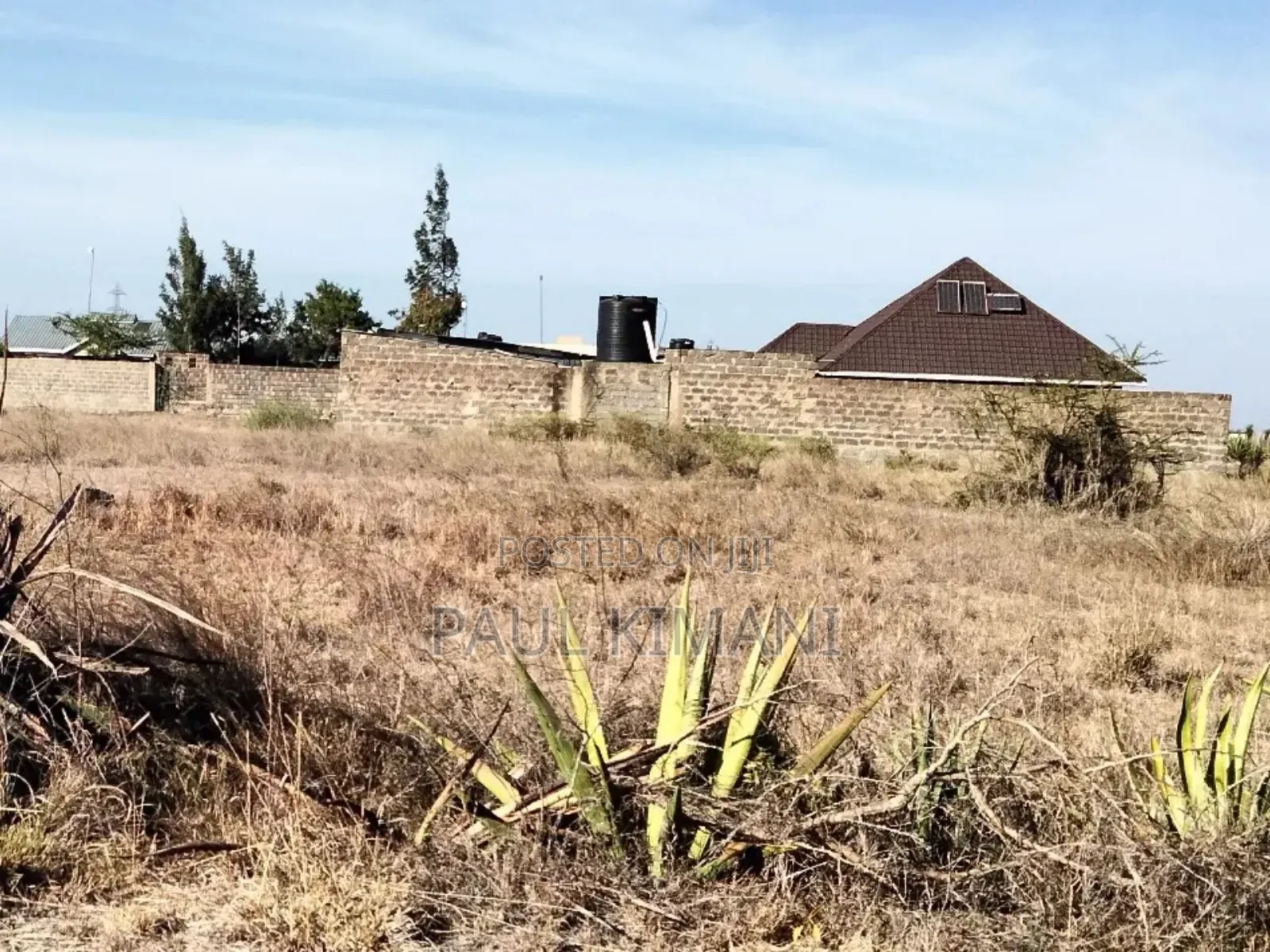Juja Farm Mumba Plots for Sale in Kalimoni