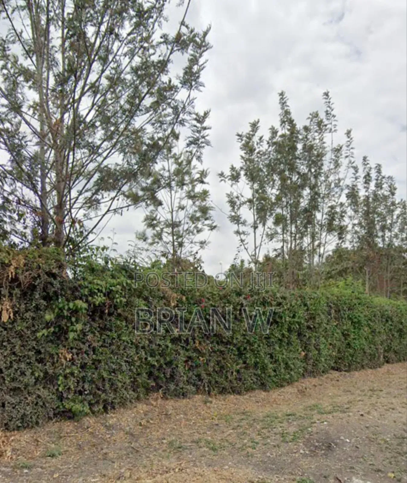 Ruai Plot Available 100 by 100 in Ruai