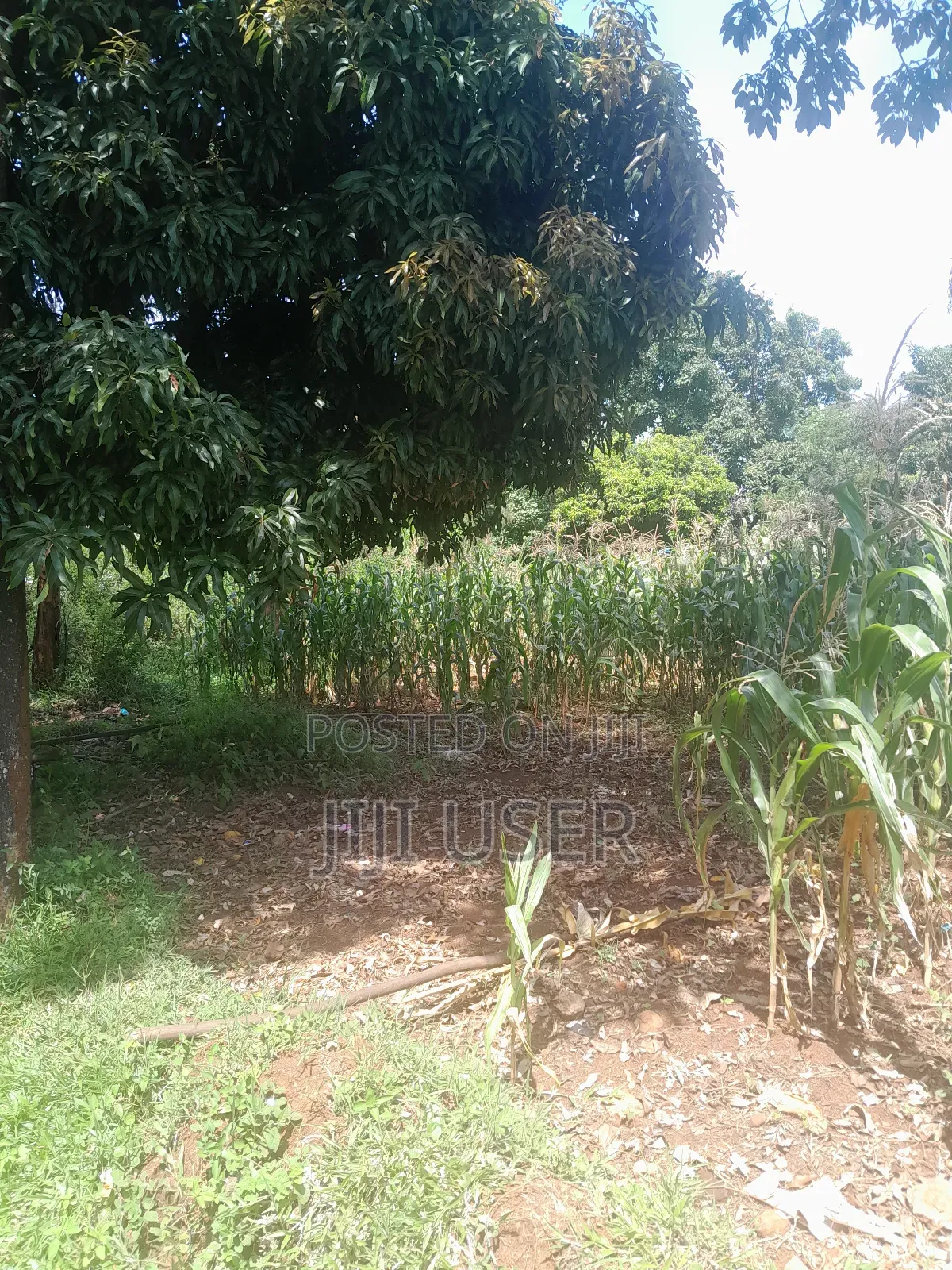 Prime Land in Rongo Town in East Kamagambo