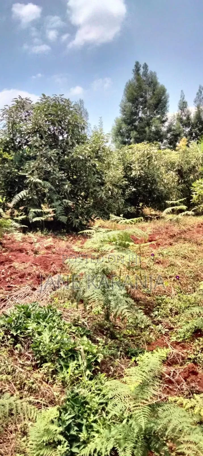 5.2 Acres Commercial Land for Sale Gathage Gatundu South in Gatundu South