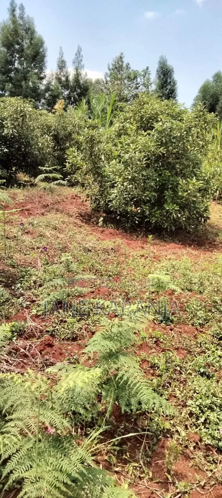 5.2 Acres Commercial Land for Sale Gathage Gatundu South in Gatundu South