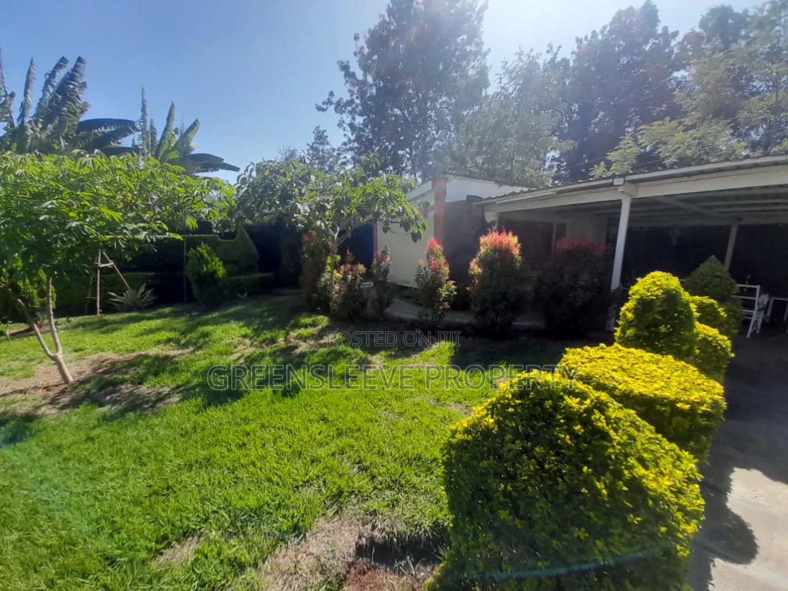 1bdrm House in Karen for rent in Karen