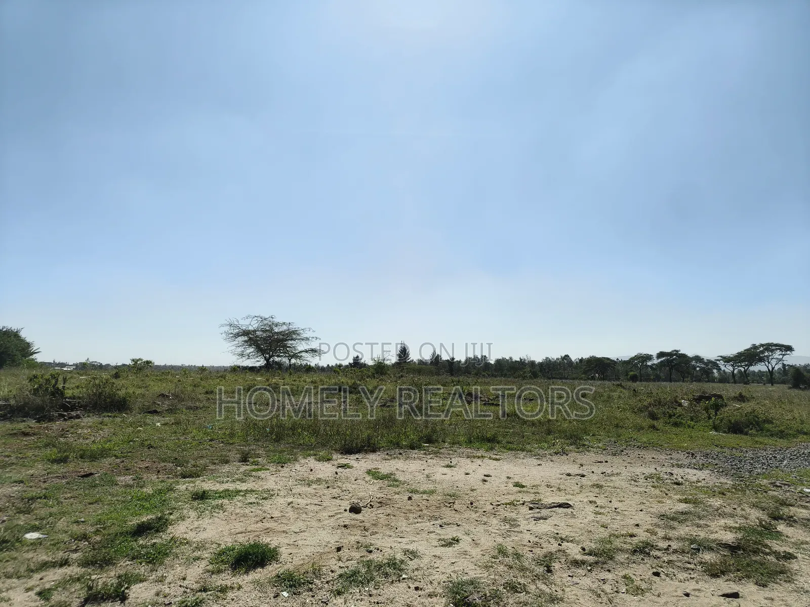 Quarter Acre Plot on Sale in Ongata Rongai, Maasai Lodge Near Nazarene in Maasai Lodge