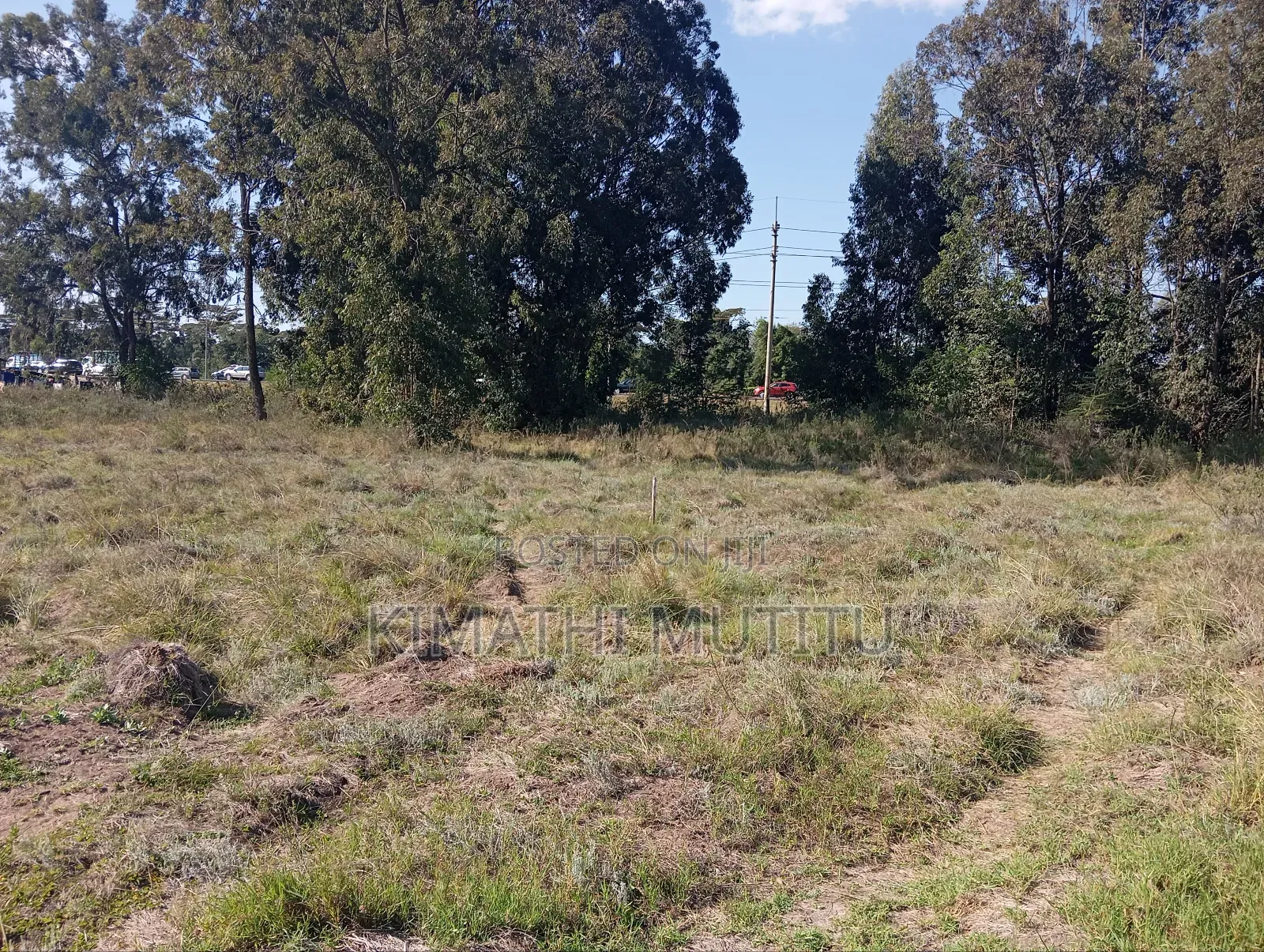 These Are Prime Residential 1/2 Acre Parcels in Karen Fairacres. in Karen