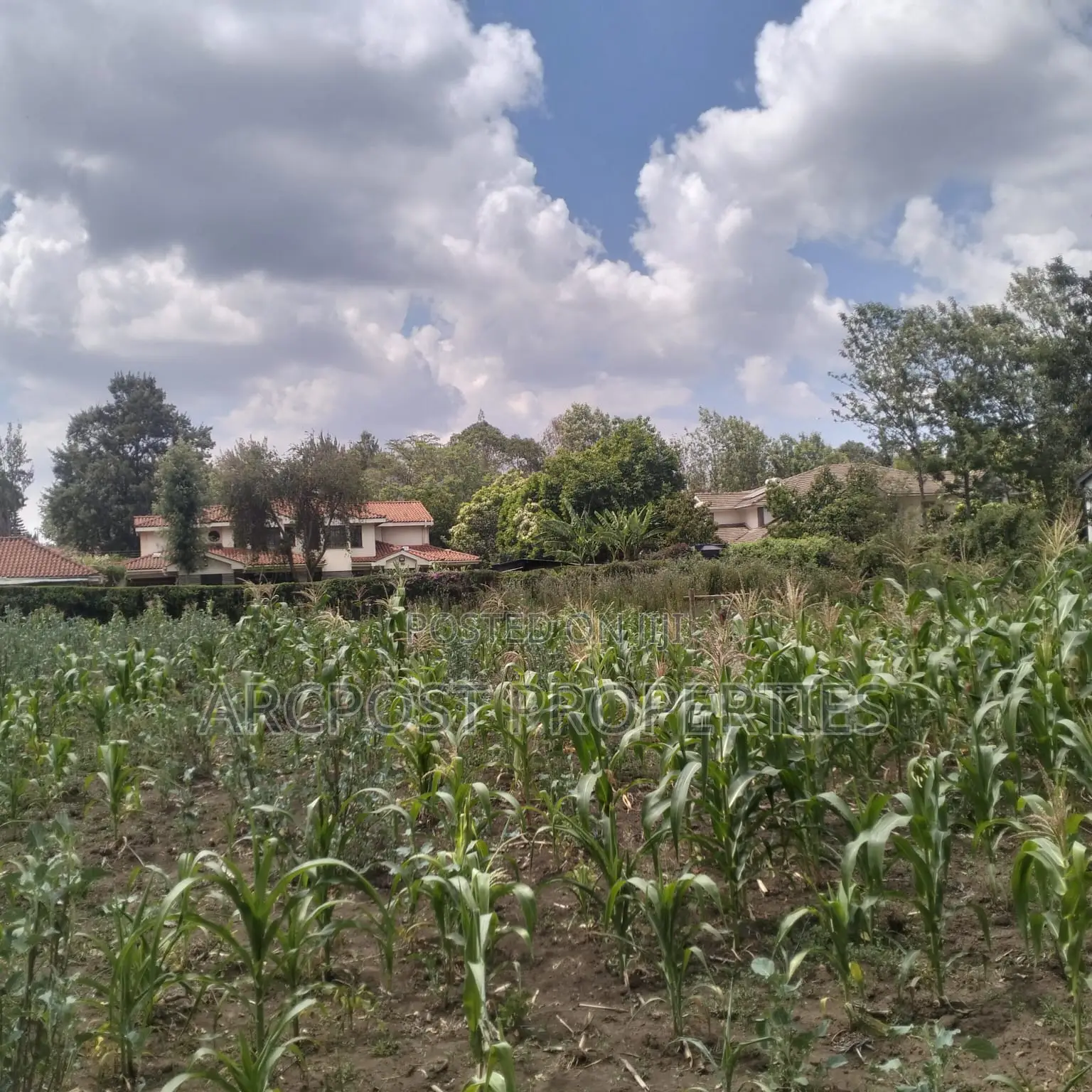 Prime 11⁄4-Acre Plot Along Marist Lane in Karen C