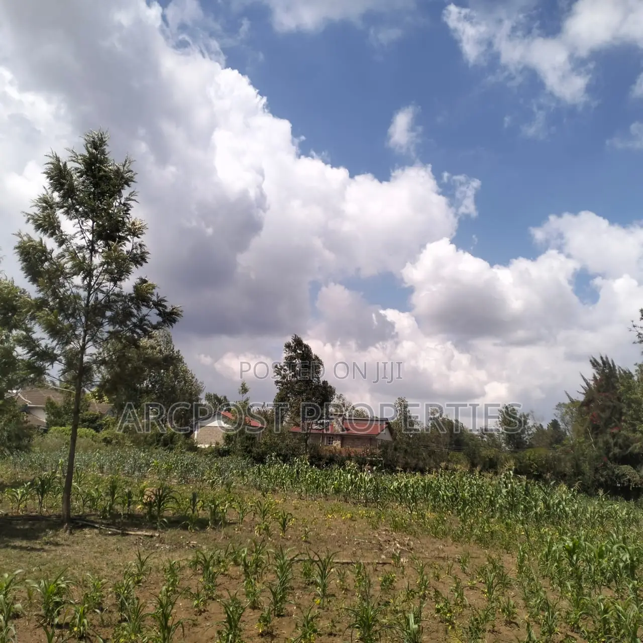 Prime 11⁄4-Acre Plot Along Marist Lane in Karen C
