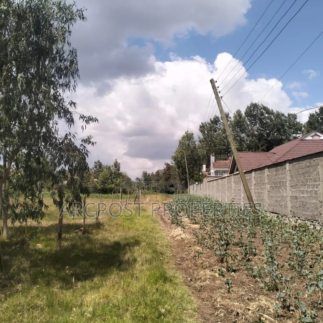 Prime 11⁄4-Acre Plot Along Marist Lane in Karen C