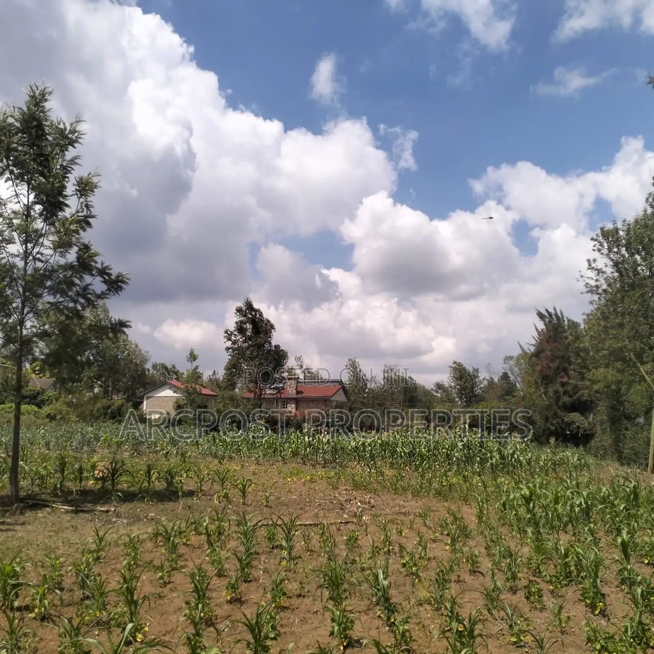 Prime 11⁄4-Acre Plot Along Marist Lane in Karen C